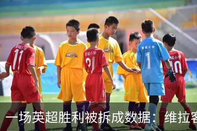 一场英超胜利被拆成数据：维拉客胜纽卡背后藏着什么