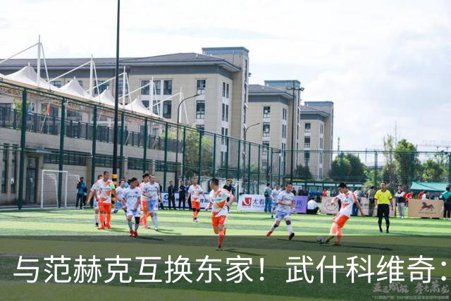 与范赫克互换东家！武什科维奇：我也不知道为什么热刺不想要我了