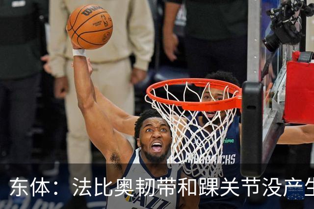 东体：法比奥韧带和踝关节没产生其他伤情，保守治疗或需三个月