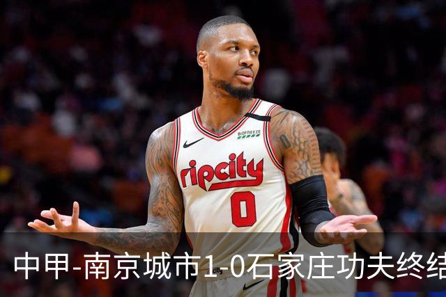 中甲-南京城市1-0石家庄功夫终结13轮不胜 泽·维托尔制胜