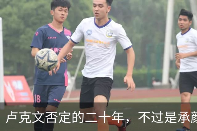 卢克文否定的二十年，不过是承颜揣摩的表演！
