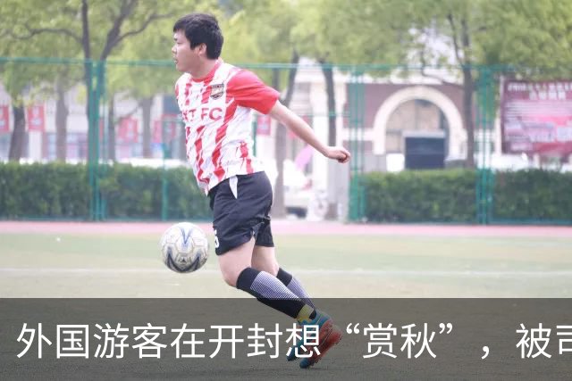 外国游客在开封想“赏秋”，被司机一脚油门拉到商丘