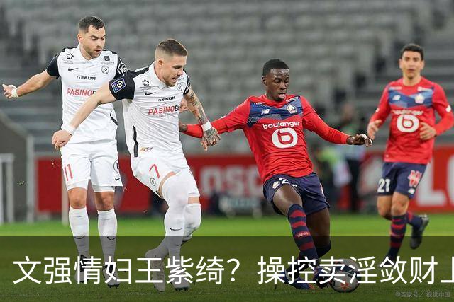 文强情妇王紫绮？操控卖淫敛财上亿，横行15年仅靠万九保护费