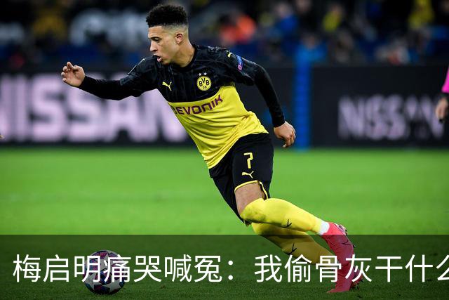 梅启明痛哭喊冤：我偷骨灰干什么？那是我亲妹!