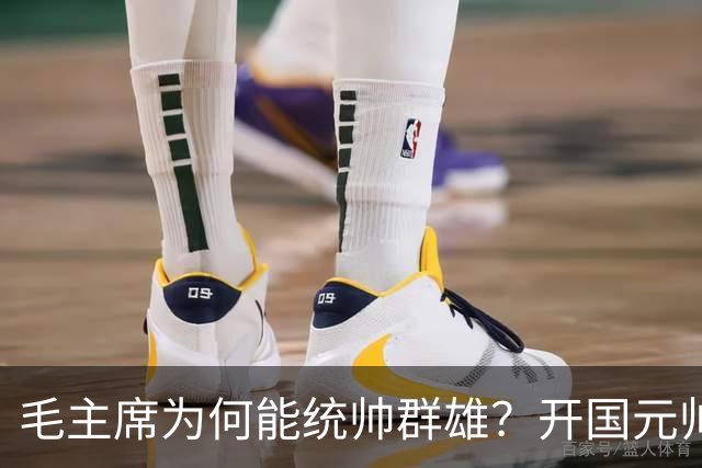 毛主席为何能统帅群雄？开国元帅们回答中，朱总最中肯叶帅最直白！