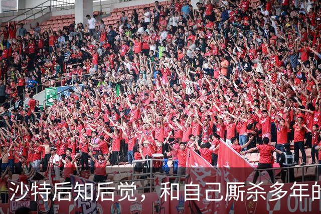 沙特后知后觉，和自己厮杀多年的胡塞武装，暗地里早和美国谈好了