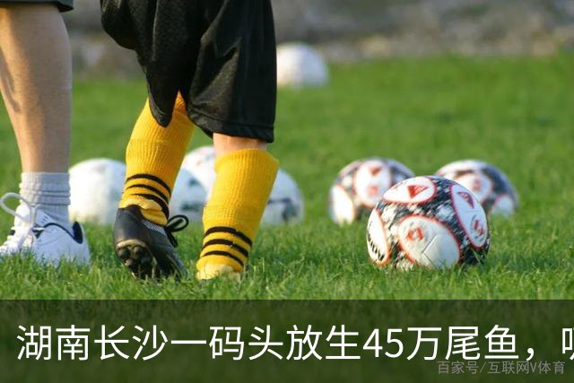 湖南长沙一码头放生45万尾鱼，吸引大量钓友扎堆；官方回应：禁渔但不禁钓，呼吁各位钓友，合理合规休闲垂钓