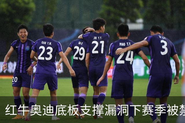 红牛奥迪底板支撑漏洞下赛季被禁