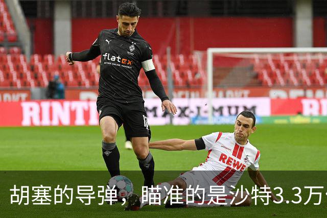 胡塞的导弹，瞄准的是沙特3.3万亿美元的“2030愿景”