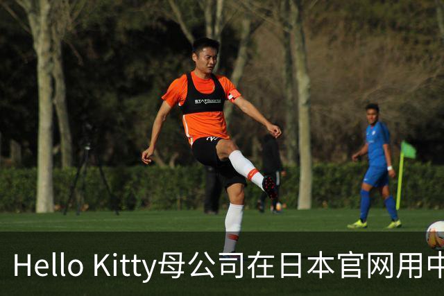 Hello Kitty母公司在日本官网用中日双语道歉，此前道歉被质疑仅中国可见，糊弄中国消费者！公司在中国门店超80家，收入快速增长